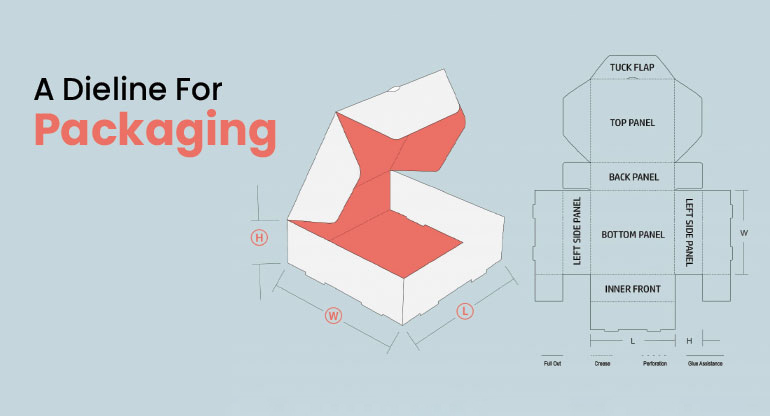 how to create dieline
