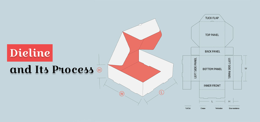 in depth analysis ofdieline and its process