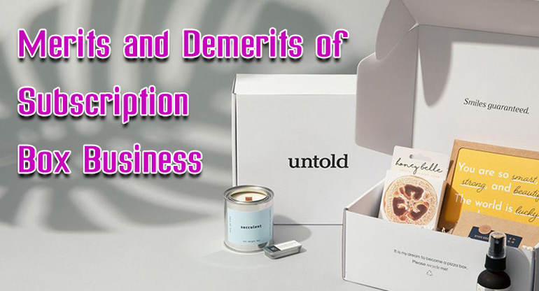 merits and demerits of subscription box business