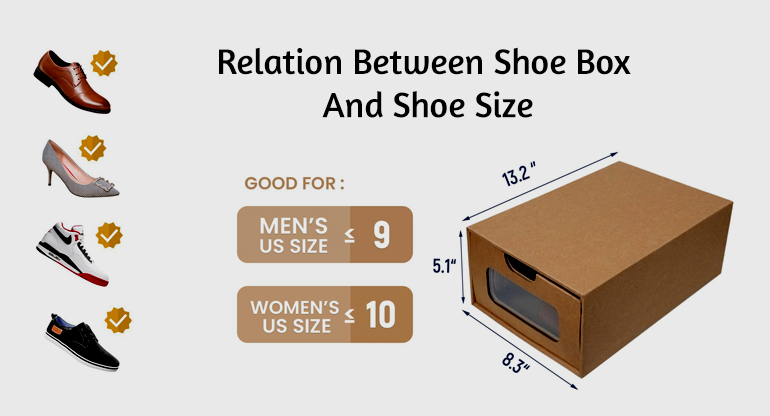 relation between shoe box and shoe size