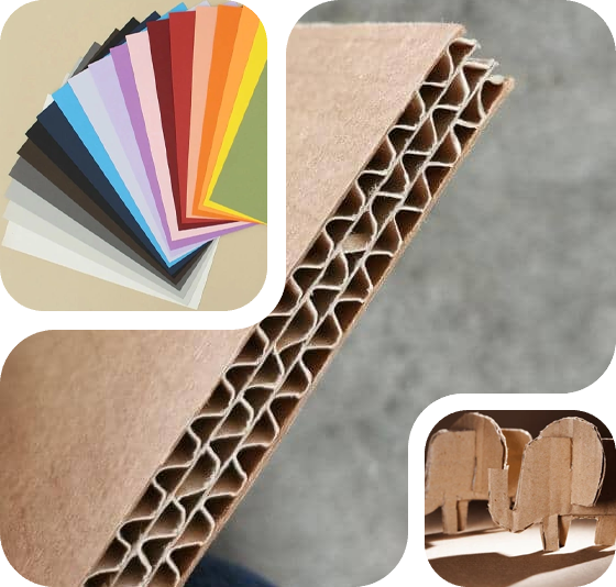 Cardboard