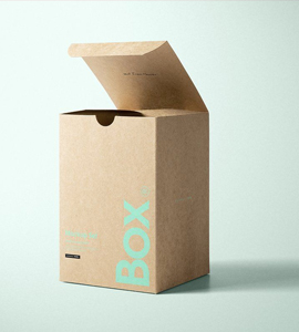 kraft boxes c