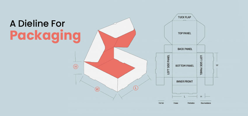 How To Create A Dieline For Your Packaging