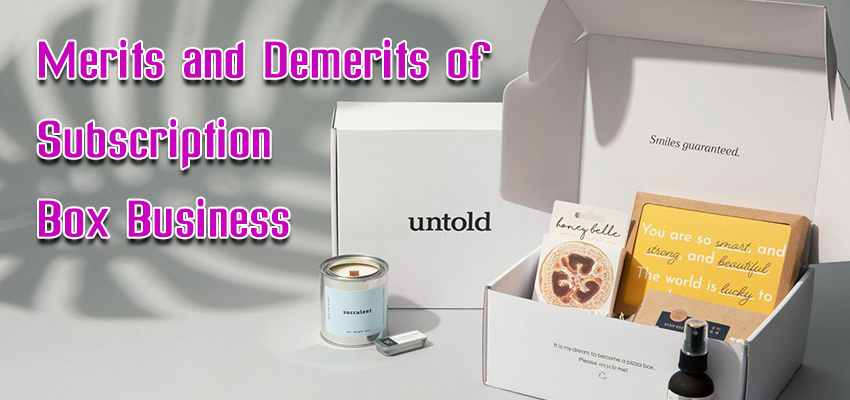merits and demerits of subscription box business