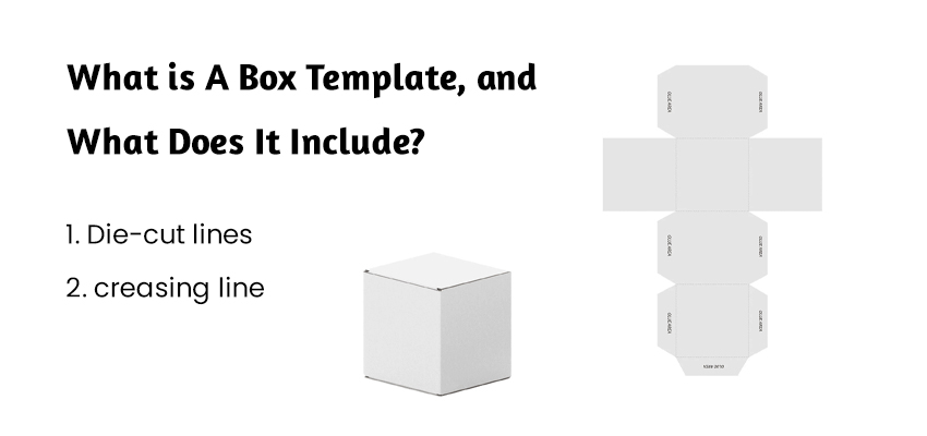 what is a box template and what does it include