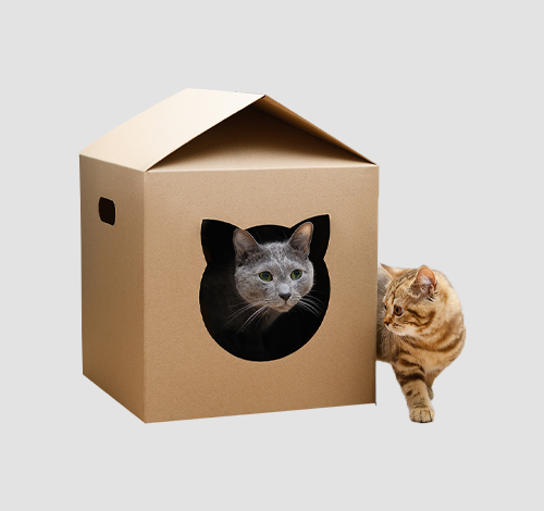 bulk cat toy boxes