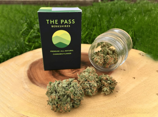 custom cannabis flower packaging