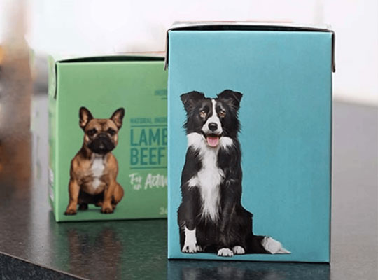 dog toy boxes