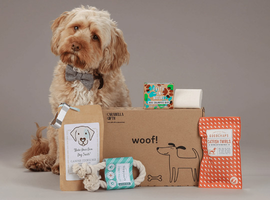dog treat boxes bulk