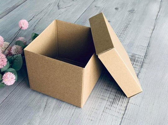 kraft boxes with lids packaging