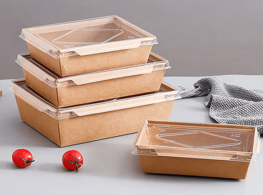 kraft food boxes packaging