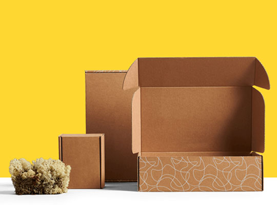 mailer shipping box packaging