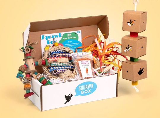 toy subscription box packaging