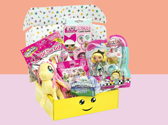toy subscription box