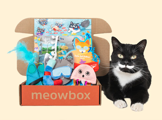 wholesale cat toy boxes