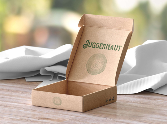 Corrugated Mailer Boxes