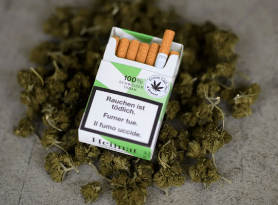 cannabis cigarette packaging