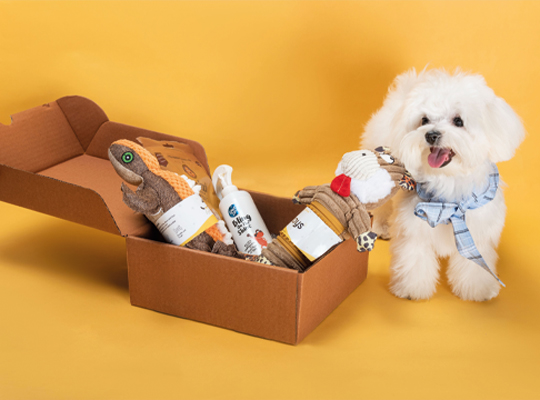 cat subscription boxes