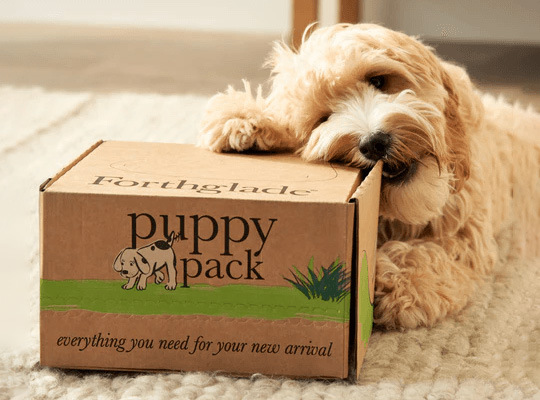 custom dog treat boxes