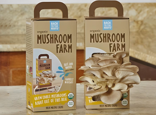 custom mushroom box