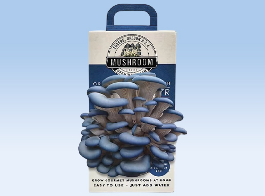 custom mushroom packaging