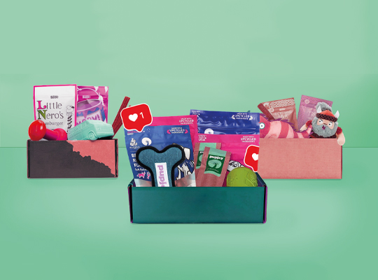 custom pet subscription boxes