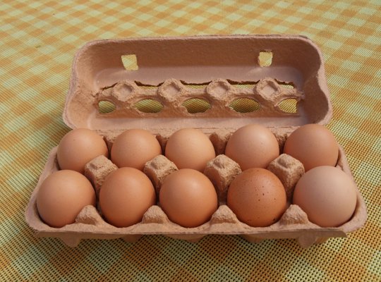 customized egg cartons