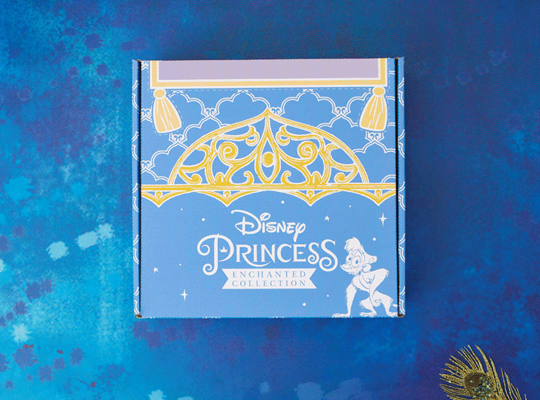 disney subscription boxes for kids