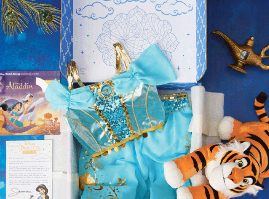 disney subscription boxes wholesale