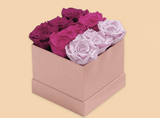 flower boxes