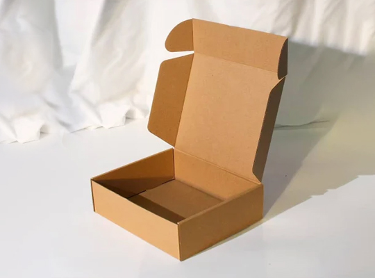 kraft mailer boxes packaging