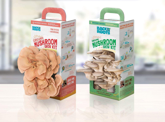 mushroom packaging boxes