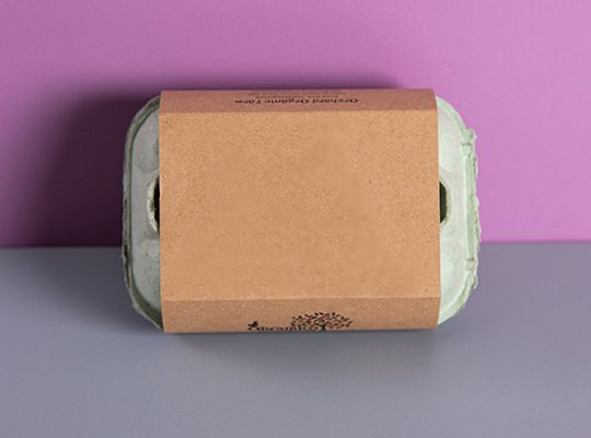 packaging sleeves packaging