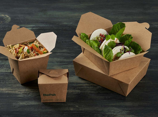 paper takeout boxes wholesale