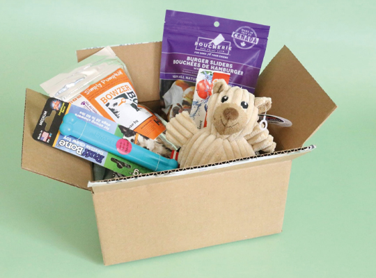 cat toy boxes