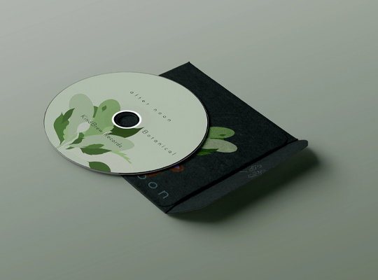printed cd jackets