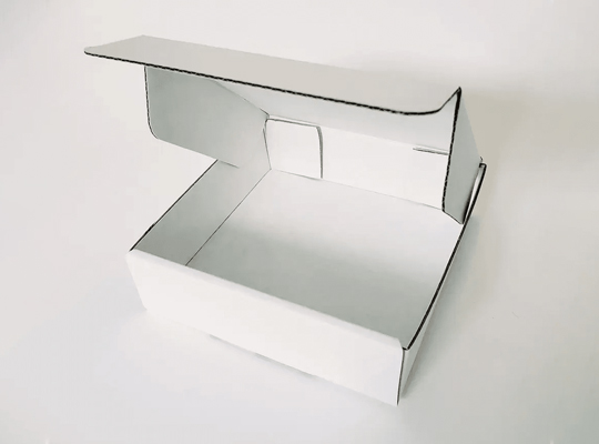 white corrugated packaging